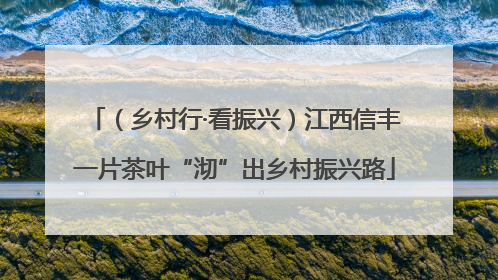 （乡村行·看振兴）江西信丰一片茶叶“沏”出乡村振兴路