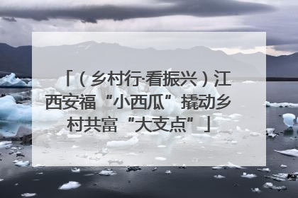 （乡村行·看振兴）江西安福“小西瓜”撬动乡村共富“大支点”