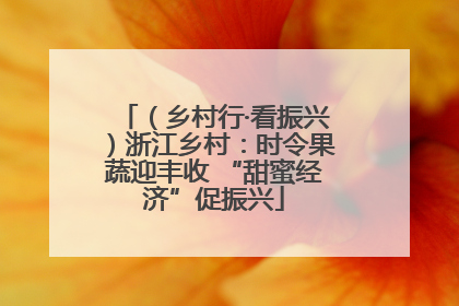 （乡村行·看振兴）浙江乡村：时令果蔬迎丰收 “甜蜜经济”促振兴