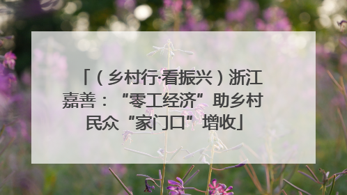 （乡村行·看振兴）浙江嘉善：“零工经济”助乡村民众“家门口”增收