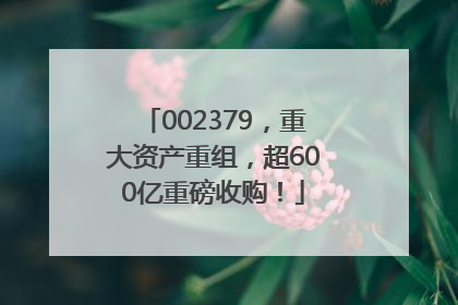 002379，重大资产重组，超600亿重磅收购！