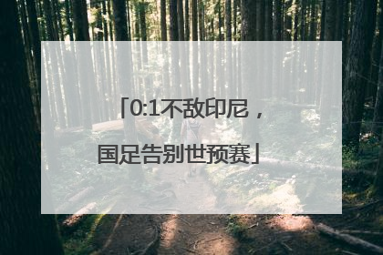 0:1不敌印尼，国足告别世预赛