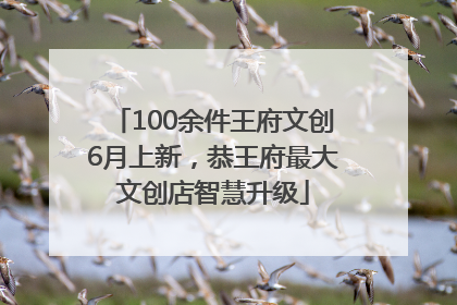 100余件王府文创6月上新，恭王府最大文创店智慧升级