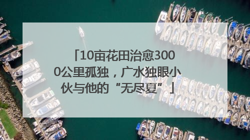 10亩花田治愈3000公里孤独，广水独眼小伙与他的“无尽夏”