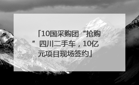 10国采购团“抢购”四川二手车，10亿元项目现场签约