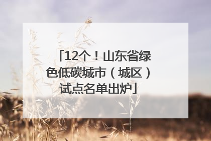 12个！山东省绿色低碳城市（城区）试点名单出炉
