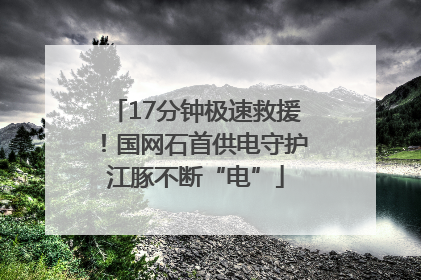 17分钟极速救援！国网石首供电守护江豚不断“电”
