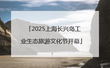 2025上海长兴岛工业生态旅游文化节开幕