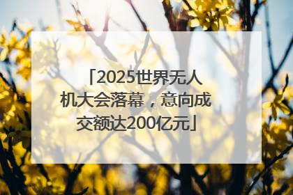 2025世界无人机大会落幕，意向成交额达200亿元
