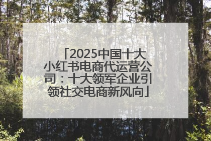 2025中国十大小红书电商代运营公司：十大领军企业引领社交电商新风向