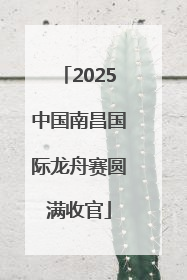 2025中国南昌国际龙舟赛圆满收官