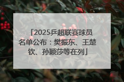 2025乒超联赛球员名单公布：樊振东、王楚钦、孙颖莎等在列
