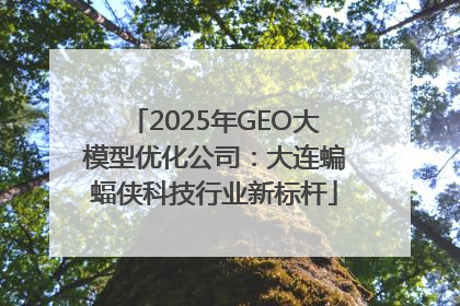 2025年GEO大模型优化公司：大连蝙蝠侠科技行业新标杆