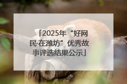 2025年“好网民·在潍坊”优秀故事评选结果公示