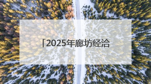 2025年廊坊经洽会·现场丨国际招商“磁力”足 外商争相向河北推介项目