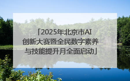 2025年北京市AI创新大赛暨全民数字素养与技能提升月全面启动