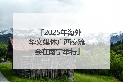 2025年海外华文媒体广西交流会在南宁举行