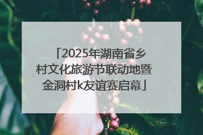 2025年湖南省乡村文化旅游节联动地暨金洞村k友谊赛启幕