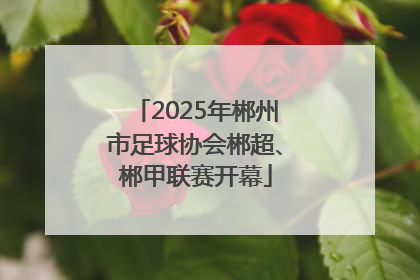 2025年郴州市足球协会郴超、郴甲联赛开幕