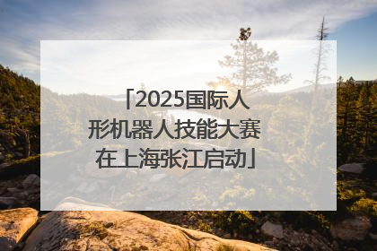 2025国际人形机器人技能大赛在上海张江启动