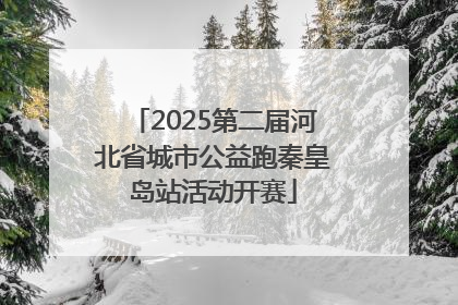 2025第二届河北省城市公益跑秦皇岛站活动开赛