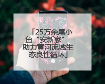 25万余尾小鱼“安新家” 助力黄河流域生态良性循环