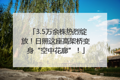3.5万余株热烈绽放！日照这座高架桥变身“空中花廊”！