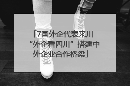 7国外企代表来川 “外企看四川”搭建中外企业合作桥梁