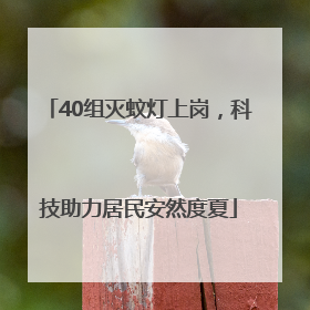 40组灭蚊灯上岗，科技助力居民安然度夏