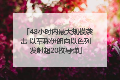 48小时内最大规模袭击 以军称伊朗向以色列发射超20枚导弹