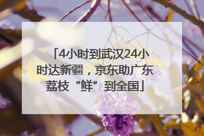 4小时到武汉24小时达新疆，京东助广东荔枝“鲜”到全国