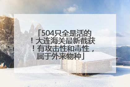 504只全是活的！大连海关最新截获！有攻击性和毒性，属于外来物种
