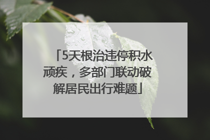5天根治违停积水顽疾，多部门联动破解居民出行难题