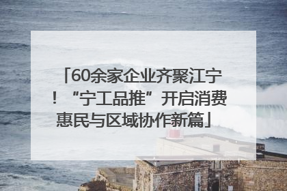 60余家企业齐聚江宁！“宁工品推”开启消费惠民与区域协作新篇