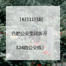 6月11日起 合肥公交集团新开324路公交线