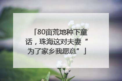 80亩荒地种下童话，珠海这对夫妻“为了家乡我愿意”