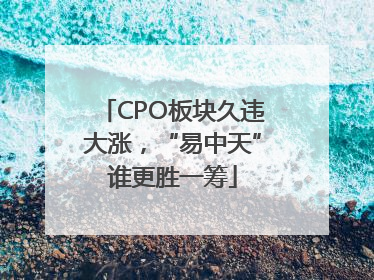 CPO板块久违大涨，“易中天”谁更胜一筹