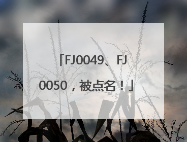 FJ0049、FJ0050，被点名！